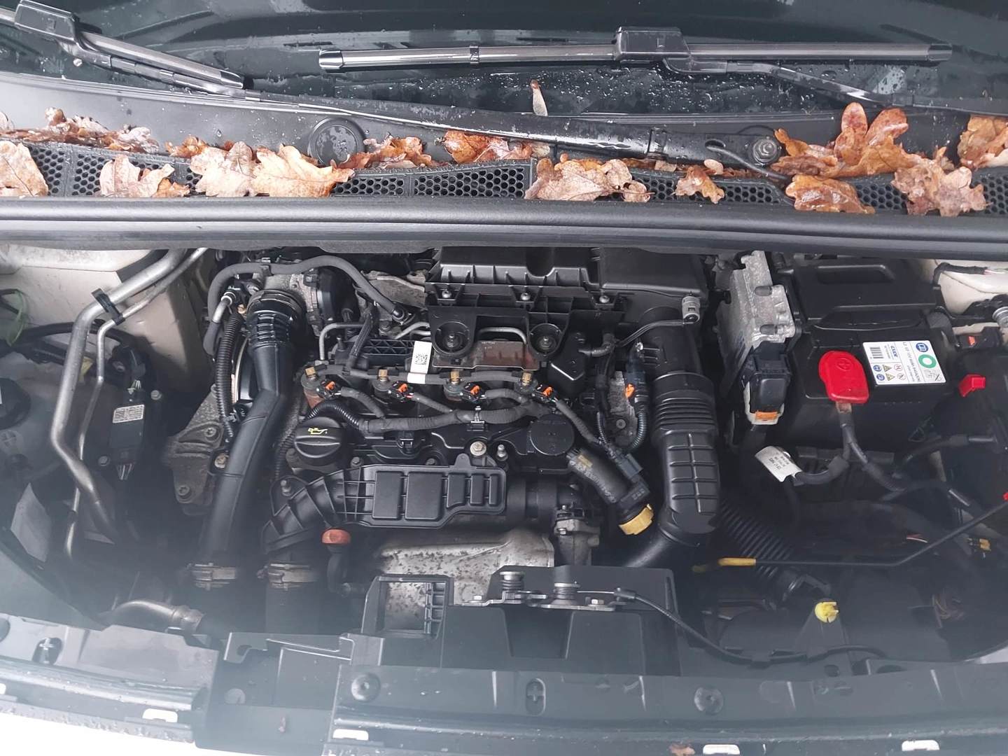 Peugeot Partner Pro 1,5 Blue-HDi