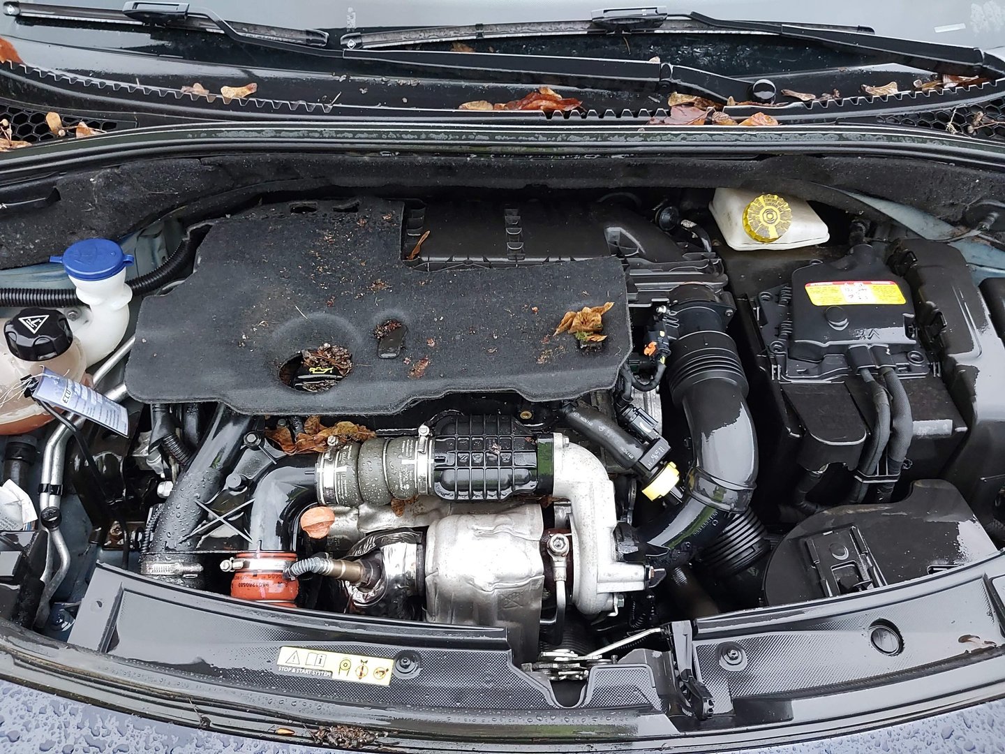 Citroën DS3 1,6 HDi “Opera Blue”